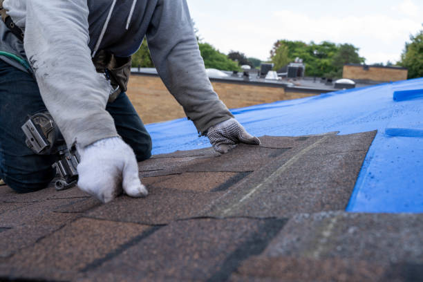 Best Roof Coating and Sealing  in Henderson, NC